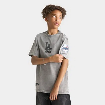 Pro Standard Big Kids Los Angeles Dodgers Mlb Washed Jewels T-shirt In Gray