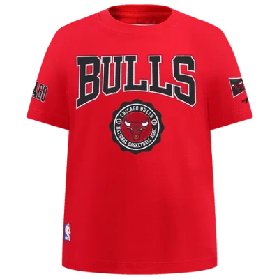 Pro Standard Kids' Boys Chicago Bulls  Bulls Patch T-shirt In Multi