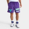 Pro Standard Men's Chicago Bulls Nba Fleece Shorts In Purple