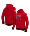 Pro Standard Red Chicago Bulls Script Tail Pullover Hoodie In Red