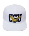 Pro Standard White Coppin State Eagles  Evergreen Wool Snapback Hat In White