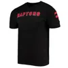 Pro Standard Men's Toronto Raptors Chenille Tee In Black In Black