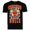 Pro Standard Mens  Bulls Shattered Backboard T-shirt In Multi