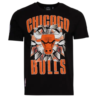Pro Standard Mens  Bulls Shattered Backboard T-shirt In Multi