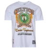 Pro Standard Mens  Celtics Cement Sj T-shirt In Green