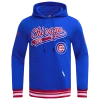 Pro Standard Mens  Cubs Script Tail Rib Flc Po Hoodie