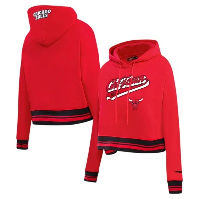 Pro Standard Red Chicago Bulls Script Tail Cropped Pullover Hoodie