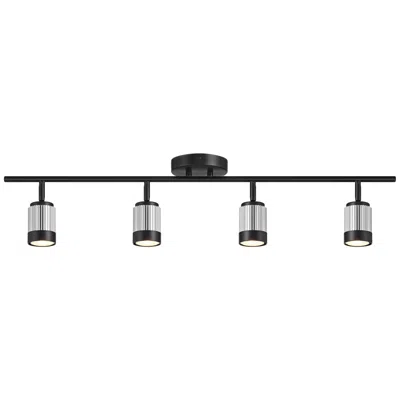Pro Track 4-light Black/brushed Nickel Led Ceiling Or Wall Track Fixture