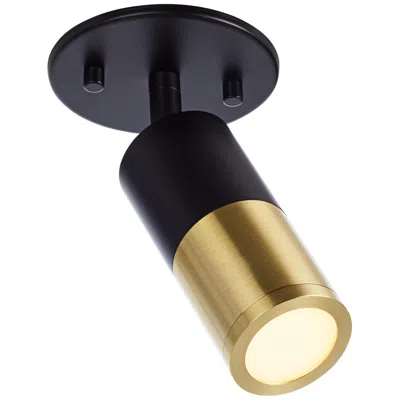 Pro Track Maxine Gold And Black 10w Led Track Ceiling Spotlight