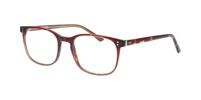 Prodesign 4789 5024 Occhiali Da Vista Tartarugatishell Per Uomo (solo Montatura) In Brown