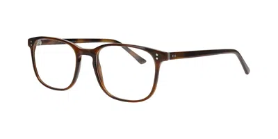 Prodesign 4789 5522 Occhiali Da Vista Tartarugatishell Per Uomo (solo Montatura) In Brown