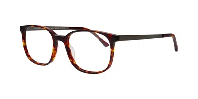 Prodesign 4793 5421 Occhiali Da Vista Tartarugatishell Per Uomo (solo Montatura) In Brown