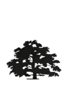 Produzione Privata Cedrus Liban Sculpture In Black