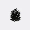 Produzione Privata Decorative Objects Black Uni In Black