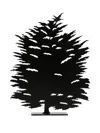 Produzione Privata Fagus Sculpture (28cm X 22cm) In Black