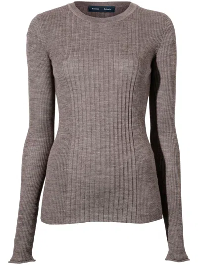 Proenza Schouler Cassidy Ribbed-knit Jumper In Braun