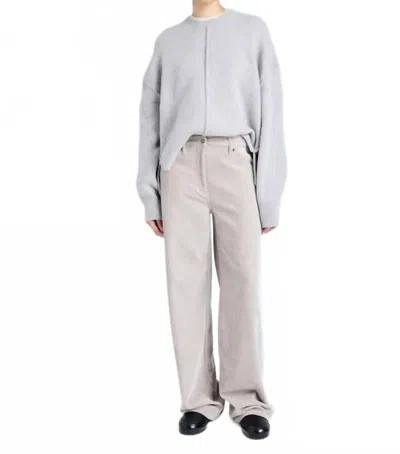 Proenza Schouler Chenille Donovan Pant In Rosewater In Blue