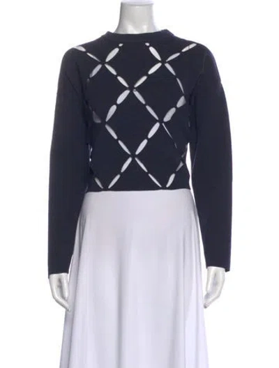 Pre-owned Proenza Schouler Crew Neck Sweater In Blue