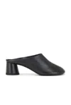 Proenza Schouler Glove Mules In Black