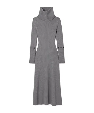 Proenza Schouler Jocelyn Ribbed Knit Turtleneck Dress In Gray