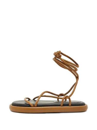 Pre-owned Proenza Schouler Leather Sandals In Brown