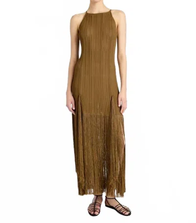 Proenza Schouler R2517211 Everly Dress With Fringe Knit In Chestnut In Brown