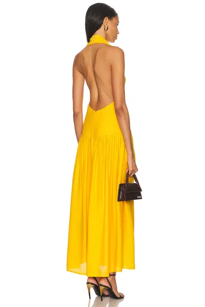 Proenza Schouler Tala Pleated Georgette Halterneck Maxi Dress In Yellow