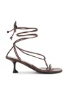 Proenza Schouler Tee Sandal In Chocolate