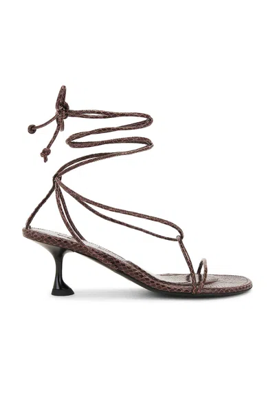 Proenza Schouler Tee Sandal In Chocolate