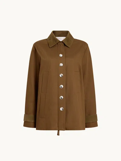 Proenza Schouler White Label Angela Jacket Wood 4 In Brown