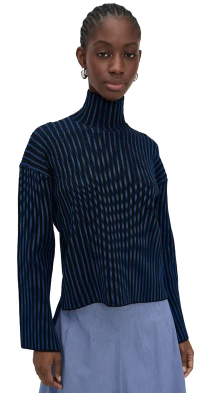Proenza Schouler White Label Elysia Sweater In Ladder Stripe Knit Blue/black