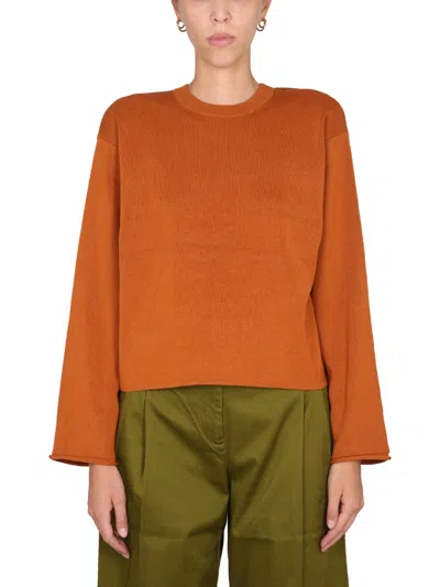 Proenza Schouler White Label Silk Blend Knit Sweater With Back Slit In Brown