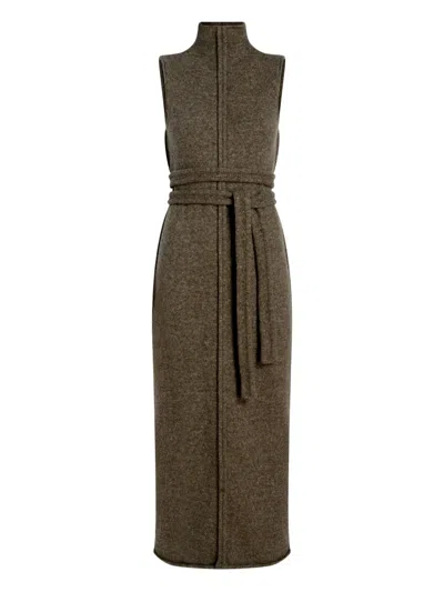 Proenza Schouler White Label Zola Sleeveless Wool Turtleneck Dress In Brown