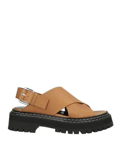 Proenza Schouler Woman Sandals Camel Size 7.5 Calfskin In Brown