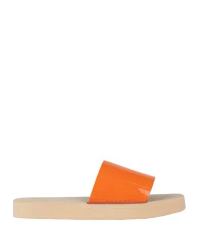 Proenza Schouler Woman Sandals Orange Size 7 Calfskin