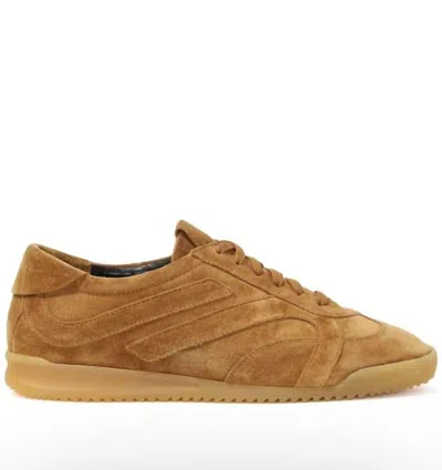 Proenza Schouler Track Paneled Suede Sneakers In Brown