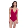 PROFILE BY GOTTEX DEVINE V-NECK ONE PIECE SWIMSUIT