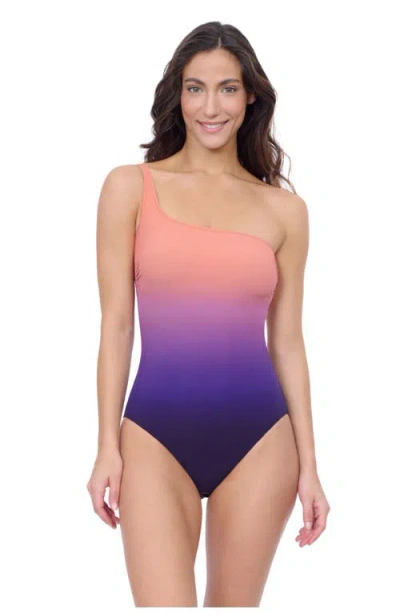 Profile By Gottex Splendor Ombre One Shoulder One Piece In Multi