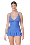 Profile By Gottex Tutti Frutti D-cup Swimdress In Blue