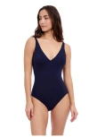 Profile By Gottex Tutti Frutti V Neck One Piece Swimsuit
