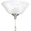 Progress Lighting 2 - Light Universal Ceiling Fan Bowl Light Kit In Brushed Nickel,white