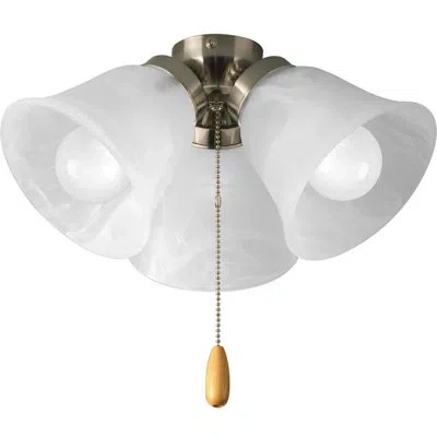 Progress Lighting 3 - Light Universal Ceiling Fan Branched Light Kit In Brushed Nickel