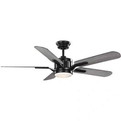 Progress Lighting 54" Claret 5 - Blade Outdoor Led Standard Ceiling Fan Remote Control And Light Kit Included In Black With Dark Gray Blades