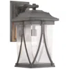 Progress Lighting Abbott Collection One-light Large Wall Lantern