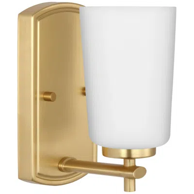 Progress Lighting Adley 1-light Etched Opal Glass Vanity Light