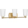 Progress Lighting Adley 3-light Etched Opal Glass Vanity Light
