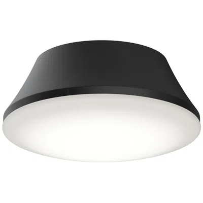 Progress Lighting Avra Large 3-light  Flush Mount With Etched White Glass Shade