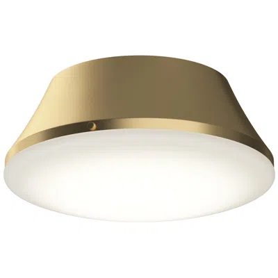 Progress Lighting Avra Large 3-light  Flush Mount With Etched White Glass Shade