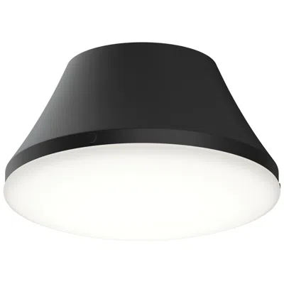 Progress Lighting Avra Medium 2-light  Flush Mount With Etched White Glass Shade