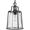 Progress Lighting Benton Harbor Collection One-light Hanging Lantern With Durashield